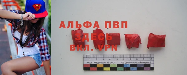 ГАЛЛЮЦИНОГЕННЫЕ ГРИБЫ Белоозёрский