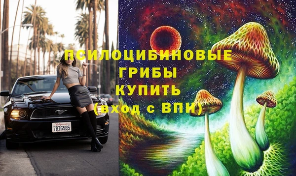 винт Сатка