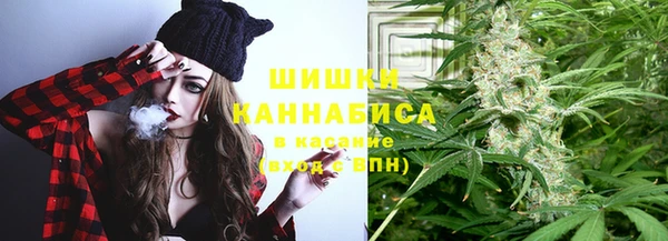 ГАЛЛЮЦИНОГЕННЫЕ ГРИБЫ Белоозёрский