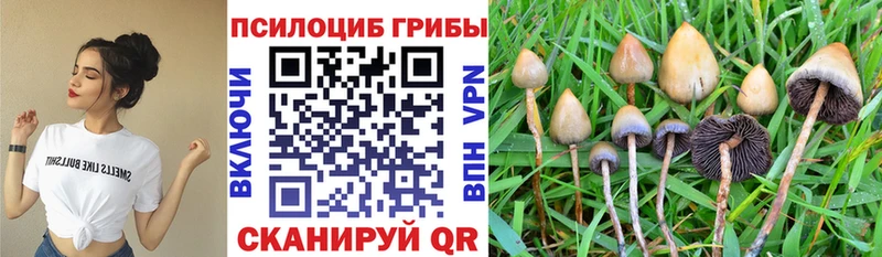 Псилоцибиновые грибы Magic Shrooms Ахтырский